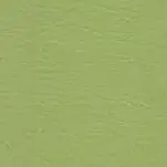 Tapizado Verde Manzana